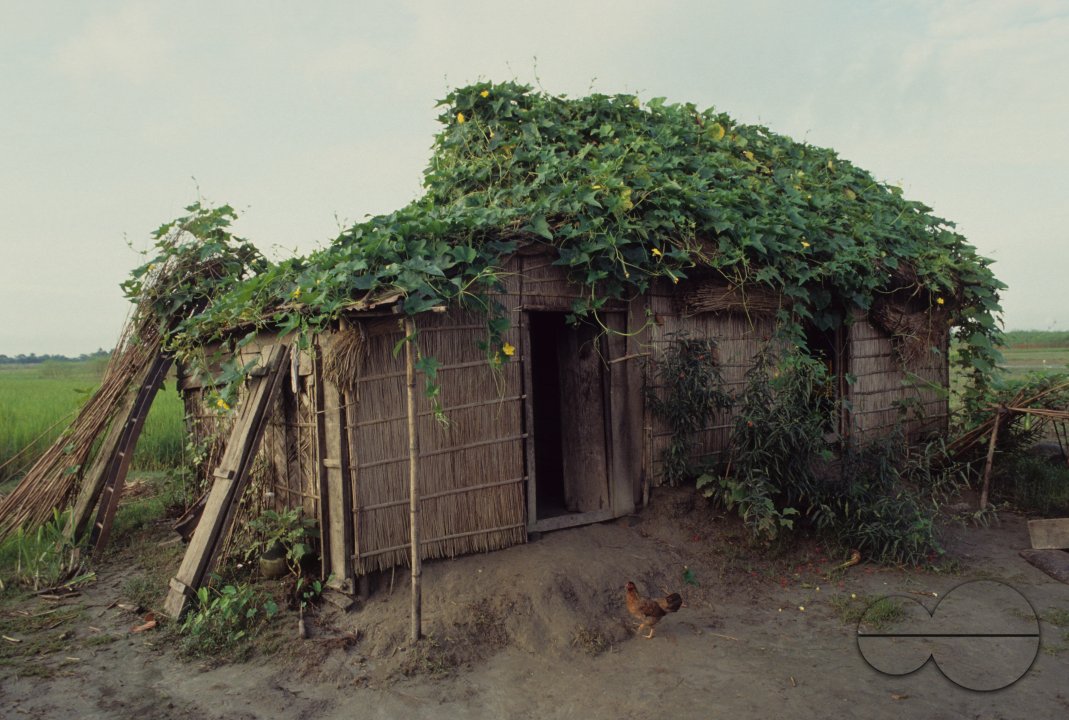MWC004495