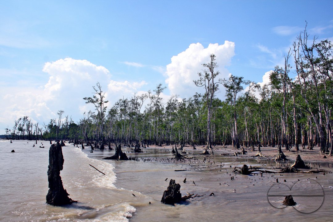 Sundarbans, Khulna