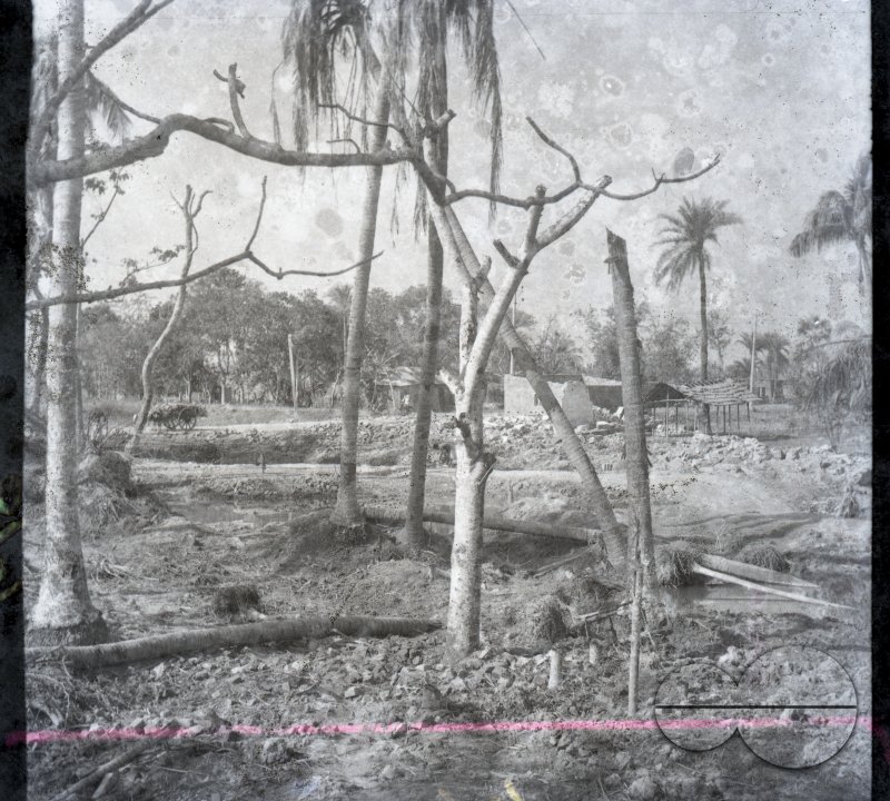 MWC008519