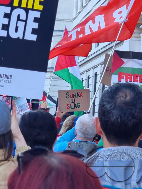 Over 300,000 Pro-Palestinians marched from Hyde Park to the USA embassy in London, on the afternoon of 11th November 2023, protesting against the war and urging an immediateÂ ceasefire