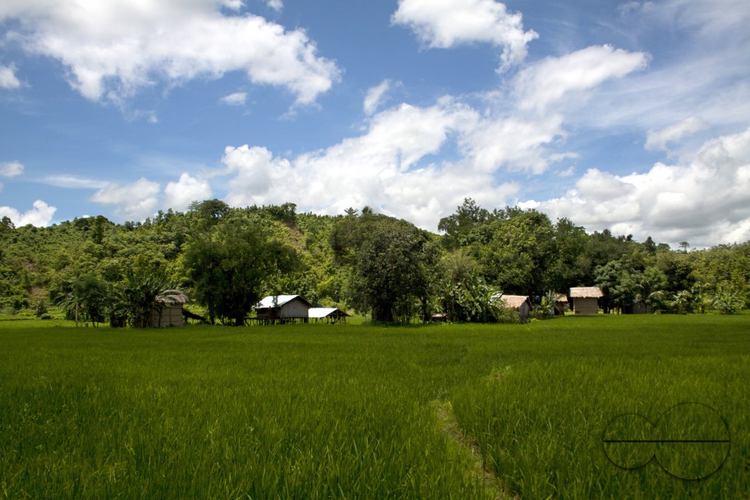 MWC020480