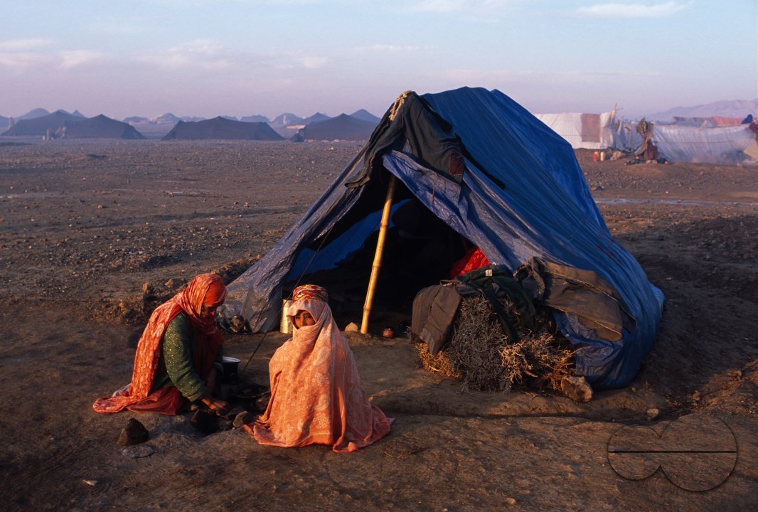 MWC08421