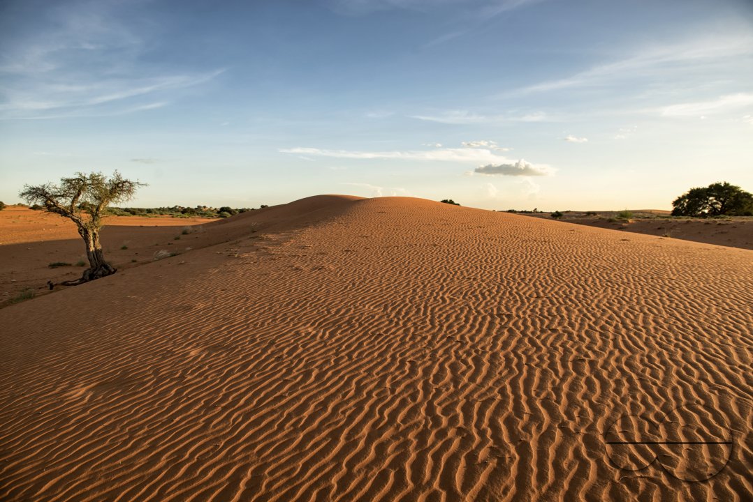 MWC039901