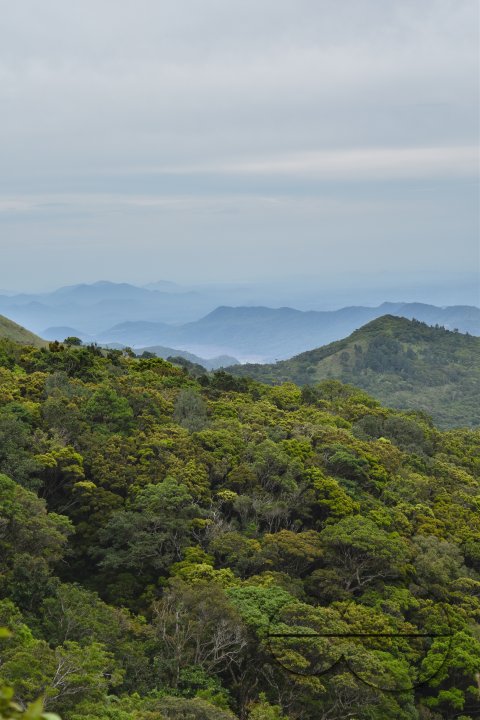 MWC031502