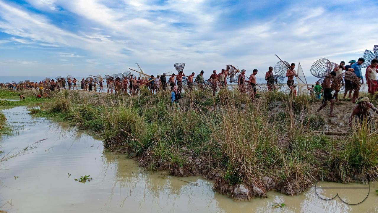 Rural people armed with Bamboo fish traps and nets take part in celebrating a 200-year winter fishing festival at the jofra beel of gasbari union of Kanaighat upazila of Sylhet, Bangladesh.