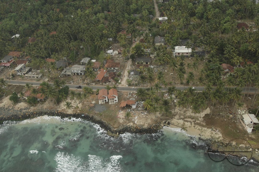 MWC003717
