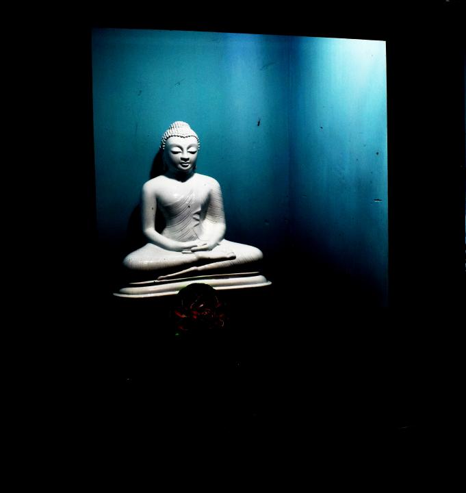 MWC048232