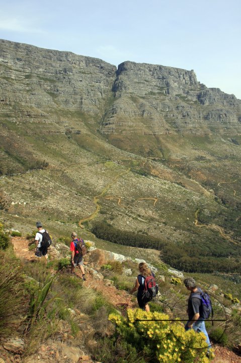 MWC016699