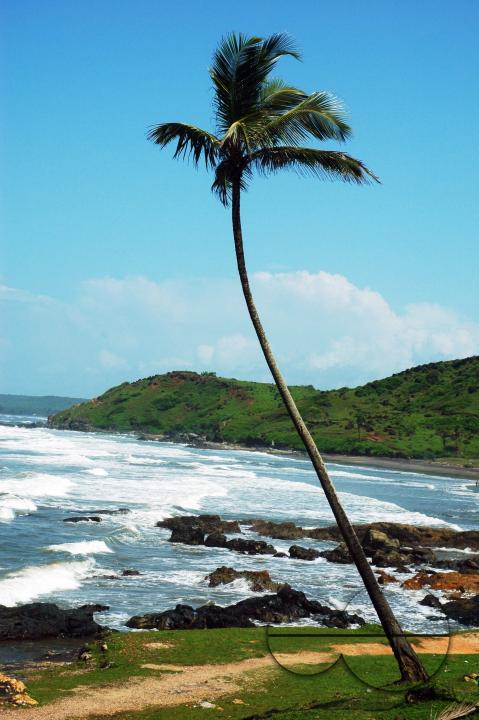 MWC059276