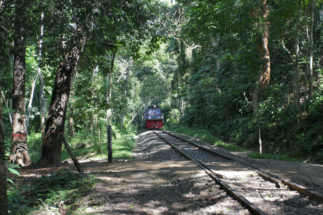 MWC012690
