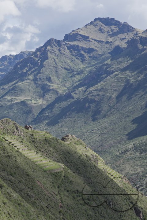 MWC026864