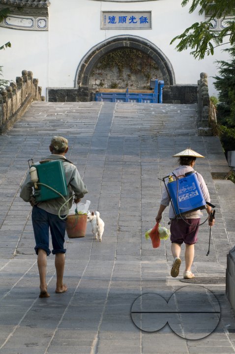 CHINA Peasants returning home after work during harvest time in Yunnan province.