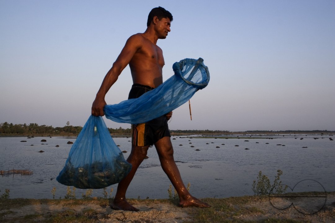 Palanquin_Bangladesh