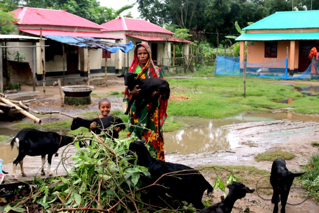 Rural Bangladeshi people carrying goats