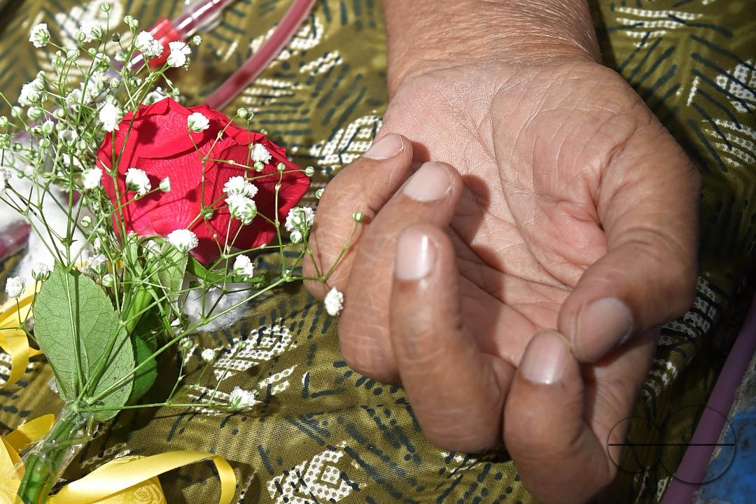 A rose and fruits are distributed to a patient by doctors and health workers during the celebration of World Kindness Day in the dialysis ward at IGM (Indira Gandhi Memorial) Hospital in Agartala