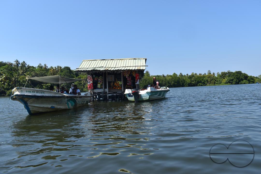 MWC044919