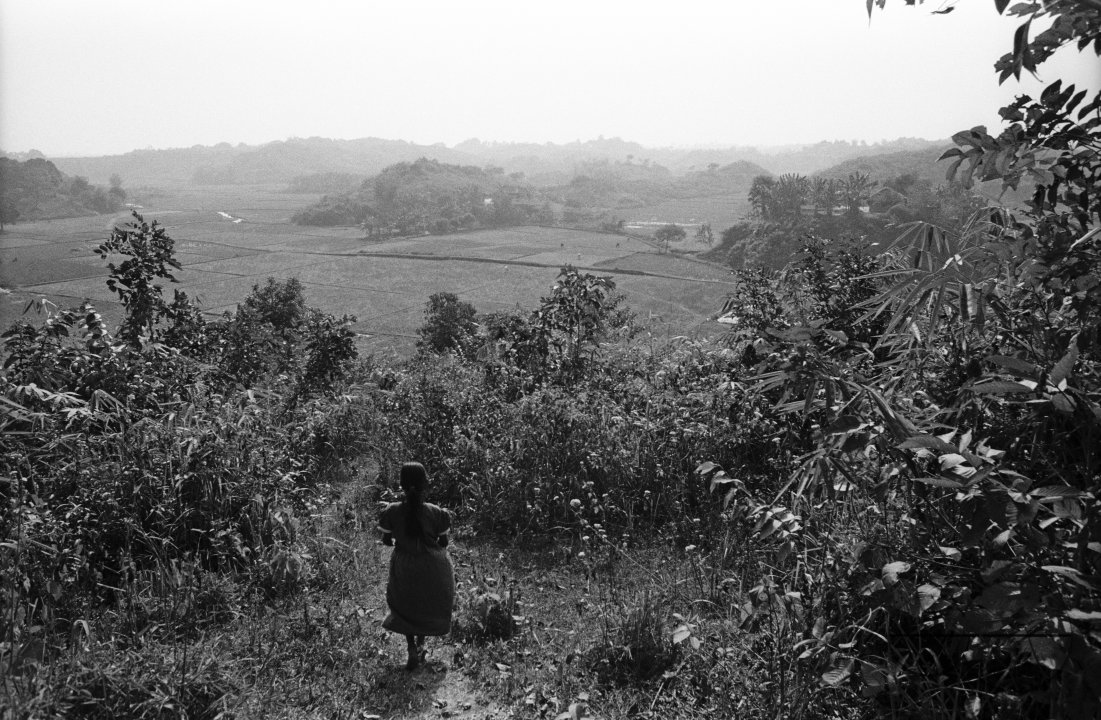 MWC08516