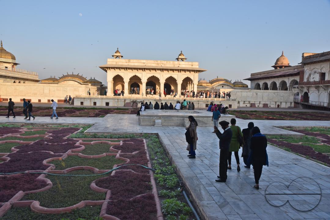 MWC043818