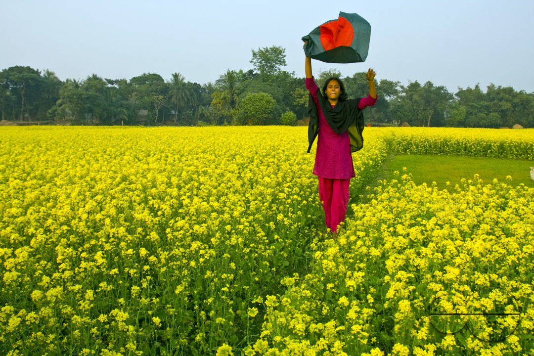 Bangladeshi Birds