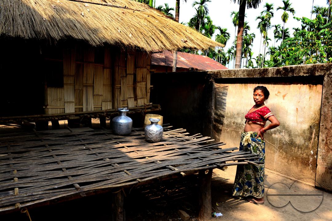 Totos are one of the most primitive communities in the world and this isolated tribal group resides only in Totopara at the foot of the Himalayas just to the borderline between West Bengal and Bhutan