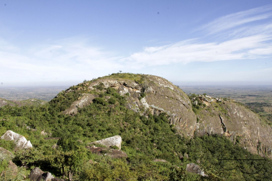 MWC041333