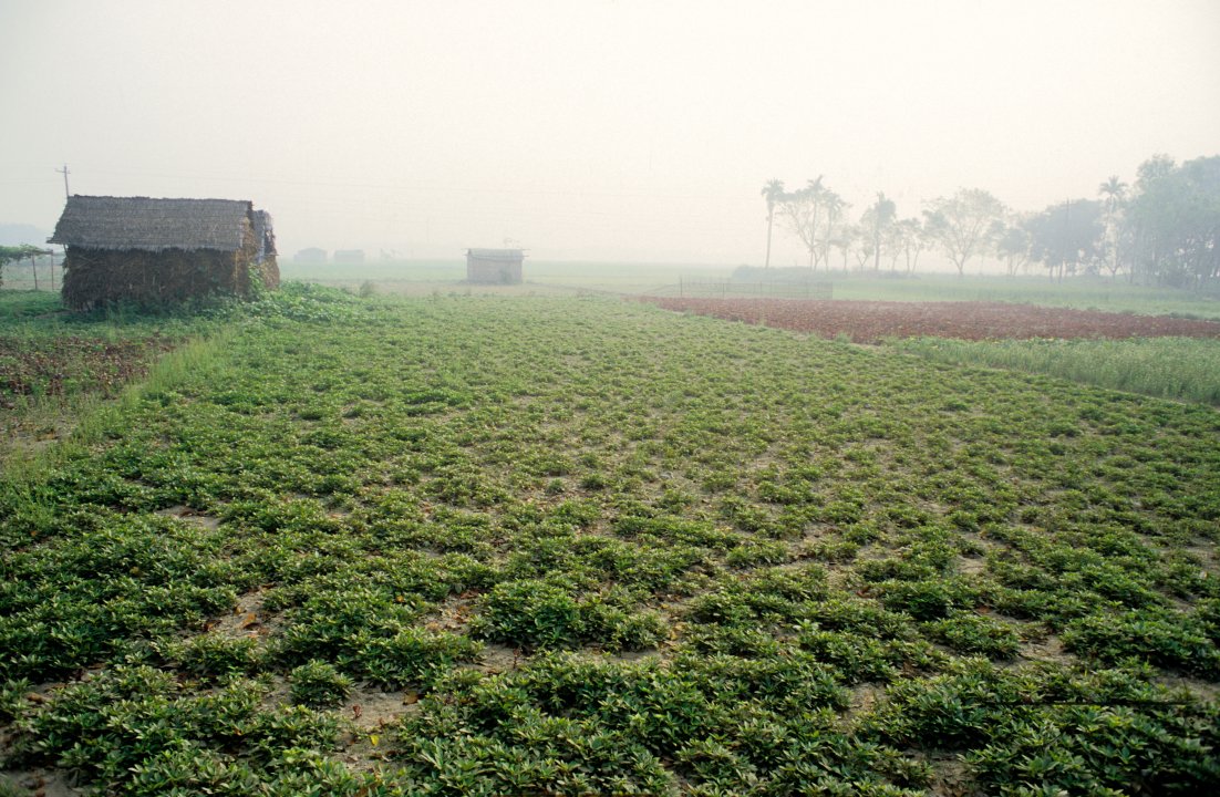 MWC03096