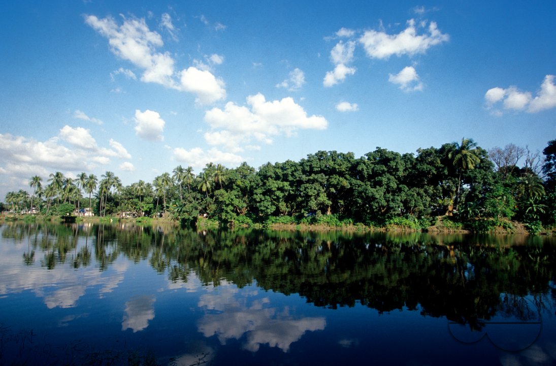 MWC003799