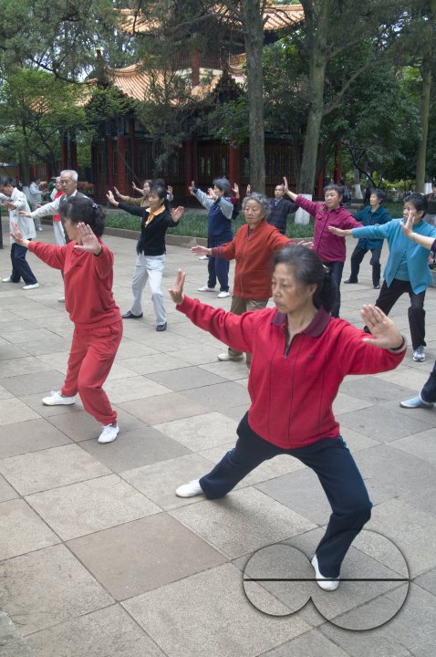 CHINA Elderly people practicing Tai Chi and other martial arts in a park in Kunming, Yunnan province..