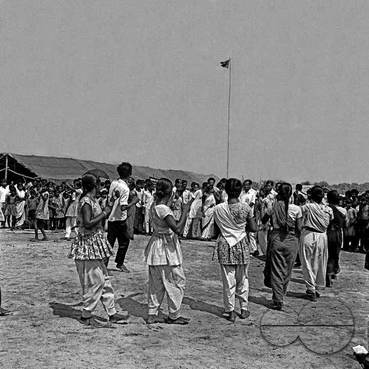 MWC008135