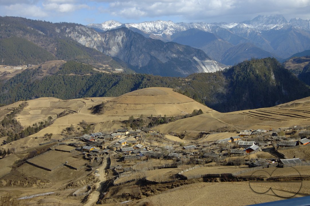 MWC018229