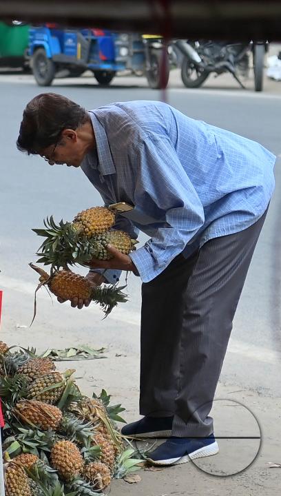People purchase pineapples, a renowned summer fruit of Tripura, from a vendor's stall at a bustling roadside fruit market in Agartala