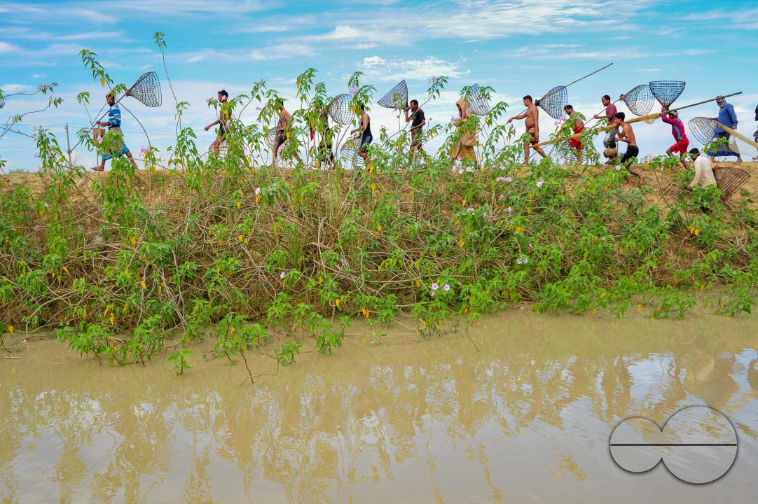 Rural people armed with Bamboo fish traps and nets take part in celebrating a 200-year winter fishing festival at the jofra beel of gasbari union of Kanaighat upazila of Sylhet, Bangladesh.