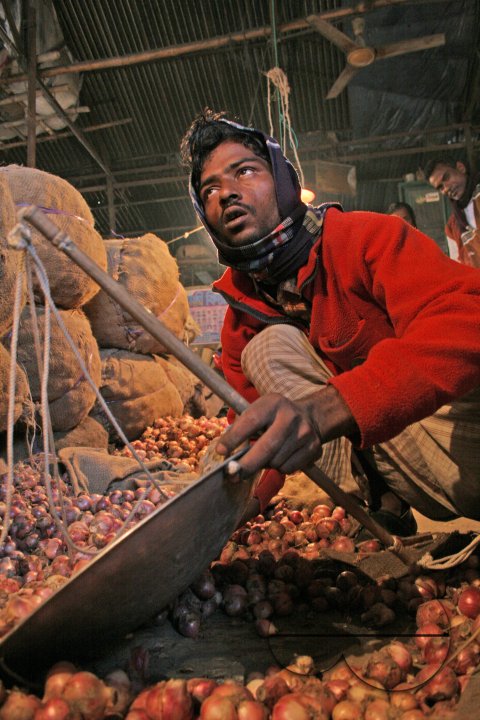 VEGETABLE MARKET