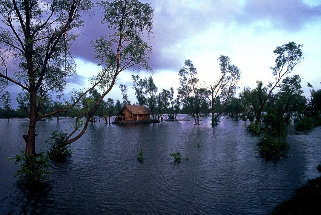 Brahmaputra