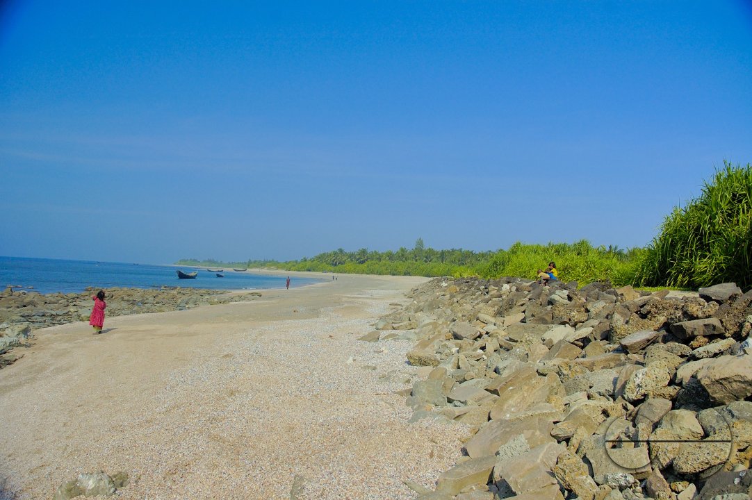 MWC011162