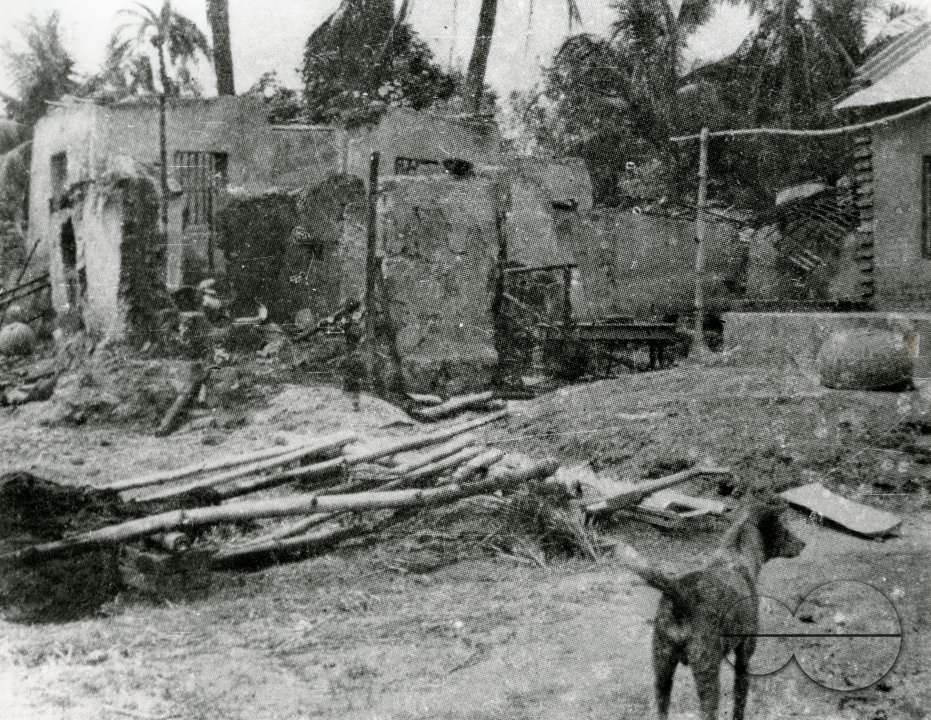 MWC008527