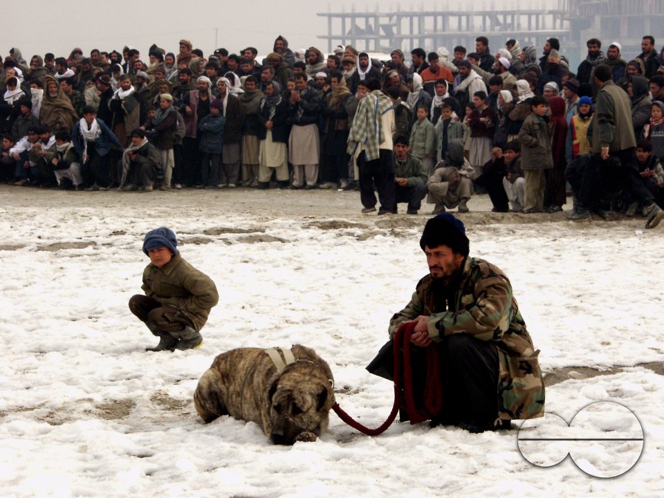 New Afghanistan
