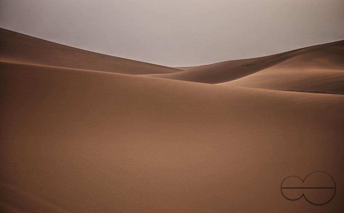Sahara desert dunes