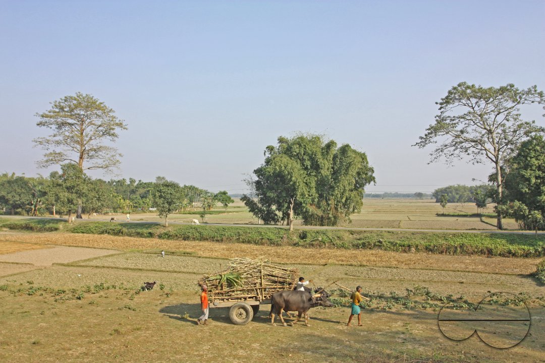 MWC003234