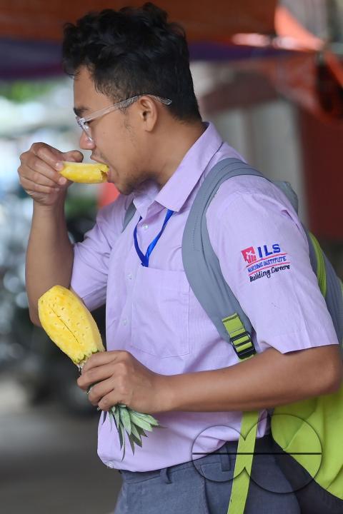 A city dweller enjoys pineapple, a renowned summer fruit of Tripura, after purchasing it from a vendor's stall at a bustling roadside fruit market in Agartala