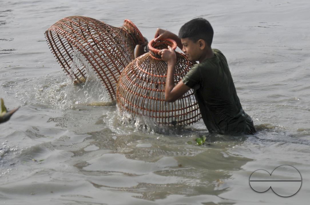 Rural people armed with Bamboo fish traps and handmade fishing nets take part in celebrating in a 100-year winter polo bawa fishing festival at the Gowahori beel of Biswanath upazila in Sylhet