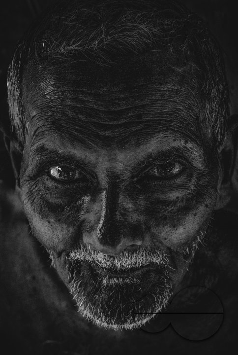 Portraits