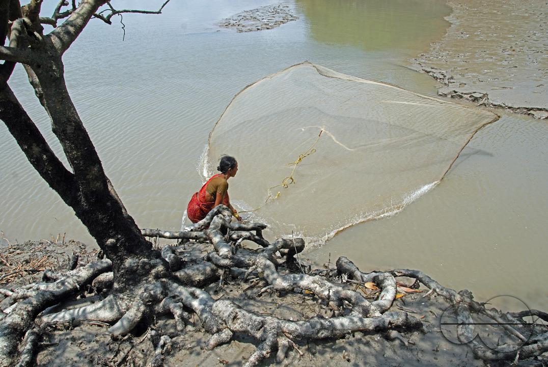 MWC059156