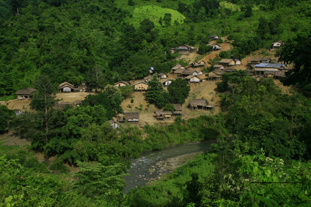 MWC012554