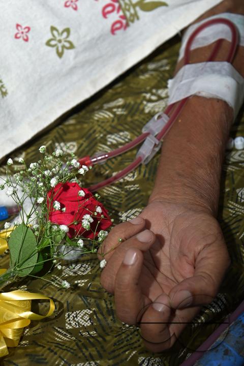 A rose and fruits are distributed to a patient by doctors and health workers during the celebration of World Kindness Day in the dialysis ward at IGM (Indira Gandhi Memorial) Hospital in Agartala