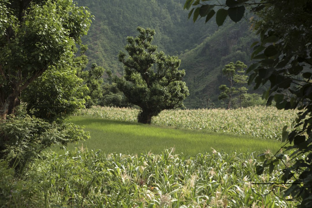 MWC022076