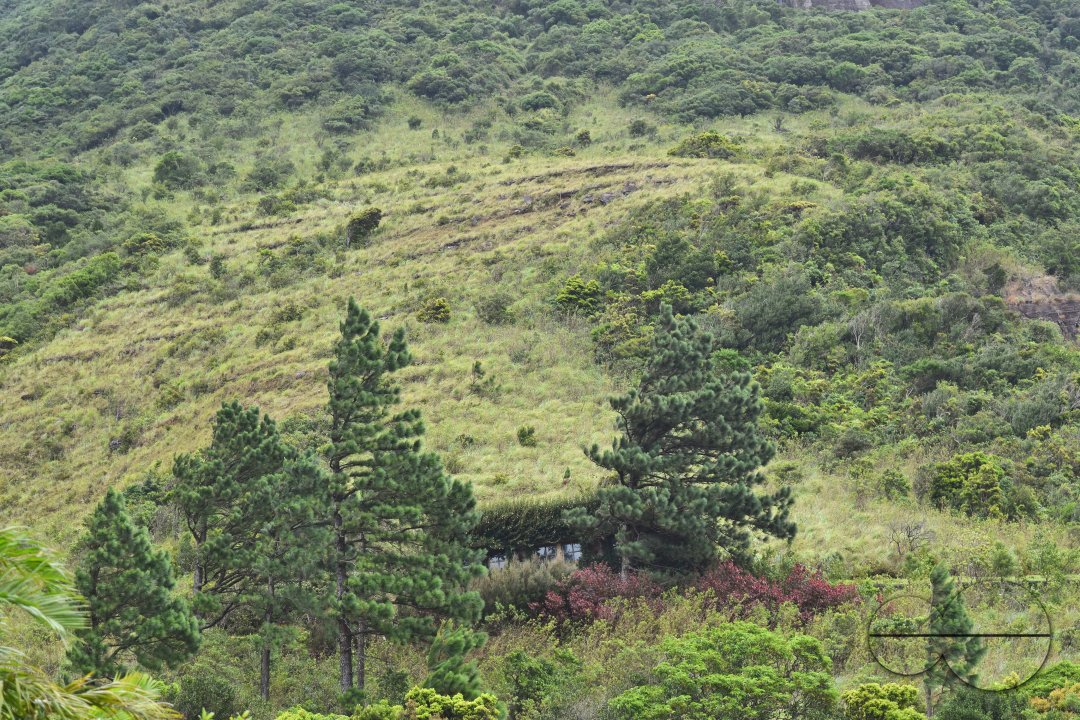 MWC031505