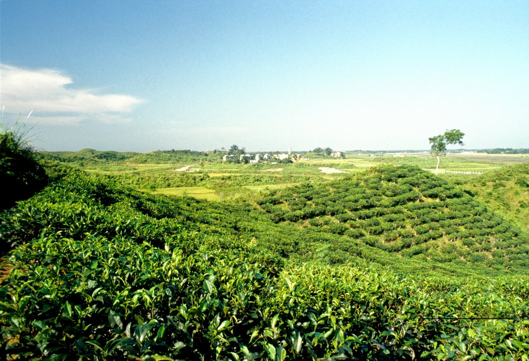 MWC02871