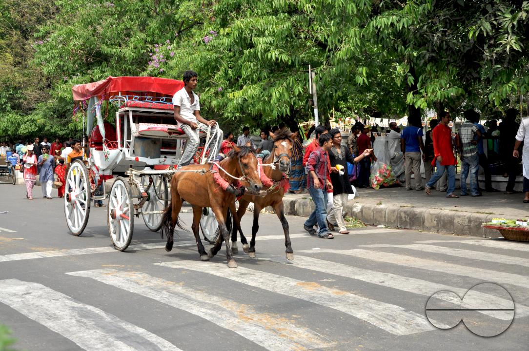 kite carriage is a special tradition of Boishakh at Shahbag, Ramna Dhaka