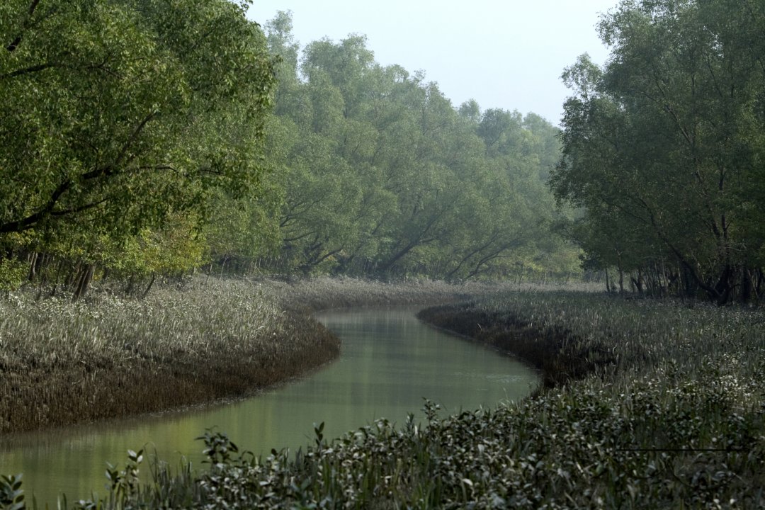 MWC004709